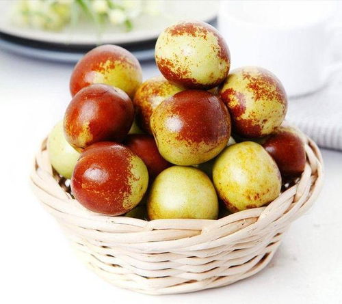 農民種的冬棗大又甜,為何只能賤賣不值錢